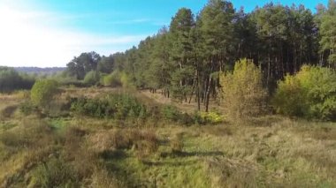 Köknar, çam ormanları ve çayır. Hava