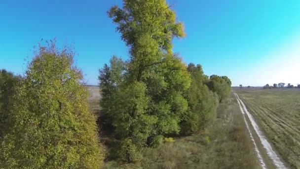 Árvores em uma beira de estrada de uma estrada de terra. Aviação — Vídeo de Stock