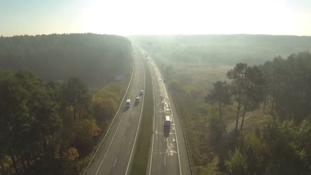 Vliegen over snelweg met auto's in zonnige dag en hout. Luchtfoto — Stockvideo