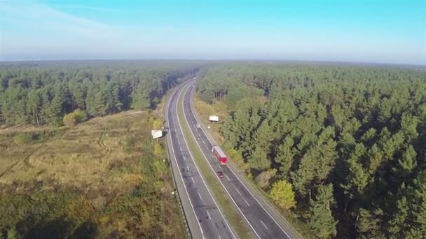 Up over  highway with cars in sunny day and wood. Aerial — Stock Video