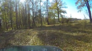 Yeşil araba toprak kırsal yolda git. POV Fpv stabilize klip