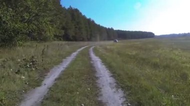 İki araba toprak kırsal yolda gitmek... POV Fpv stabilize klip