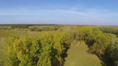 Uçuş asıllı sonbahar sarı ağaçlar üzerinde. Hava atışı