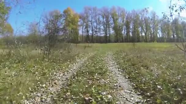 Samochód iść na polnej drodze wiejskiej. POV Fpv stabilizowany klip — Wideo stockowe