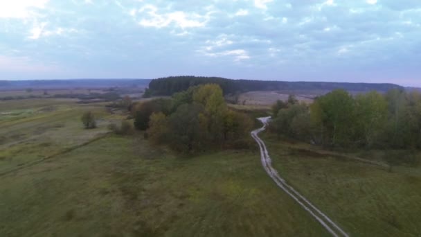 Camino de tierra, madera y campo. Vista desde la altura. Disparo aéreo — Vídeos de Stock