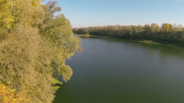 Herfst heldere landschap met rivier en hout. Luchtfoto — Stockvideo