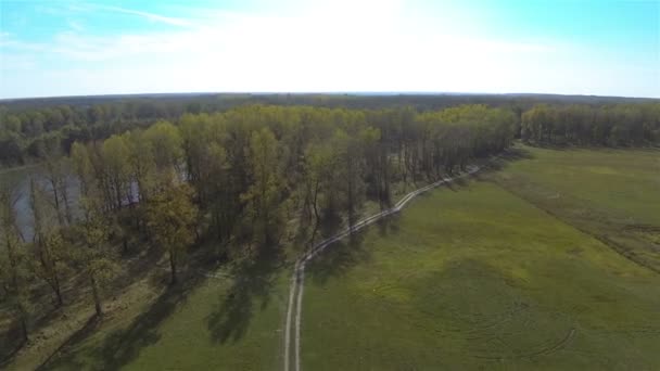 Hout en onverharde weg in weide in de buurt van de rivier. Luchtfoto — Stockvideo