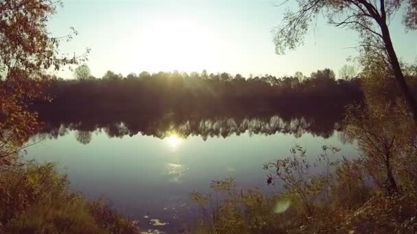 Richting aan zon in hout over rivier. Luchtfoto — Stockvideo