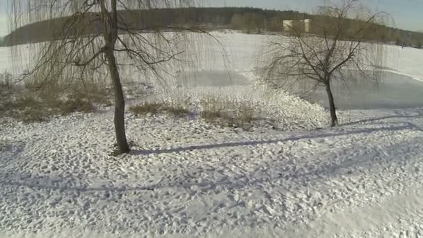 Paysage hivernal avec le lac gelé. Aérien — Video