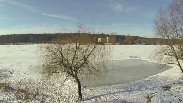 Winter landscape with  tree in sunny day. Aerial — Stock Video