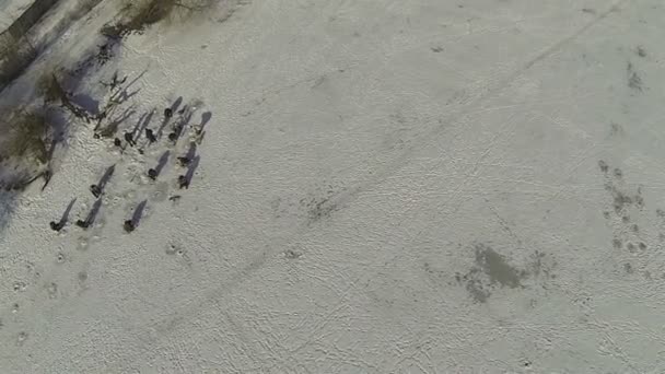 Silhouettes de pêcheurs sur le lac d'hiver. Aérien 