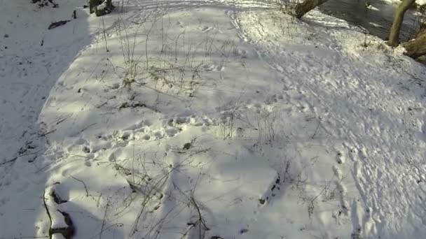 雪和河。空中 — 图库视频影像