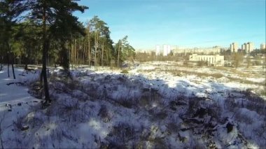 Şehir ve park. Panorama. Hava