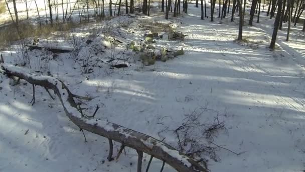 Basura en el bosque. Antena — Vídeo de stock