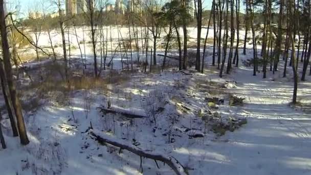 Bosque de invierno y nieve carretera — Vídeo de stock