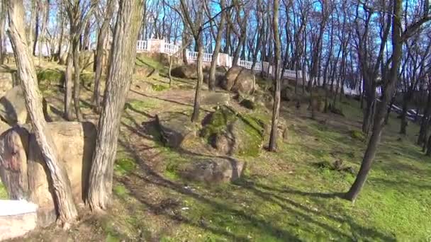 Park se stromy a kameny. Antény — Stock video