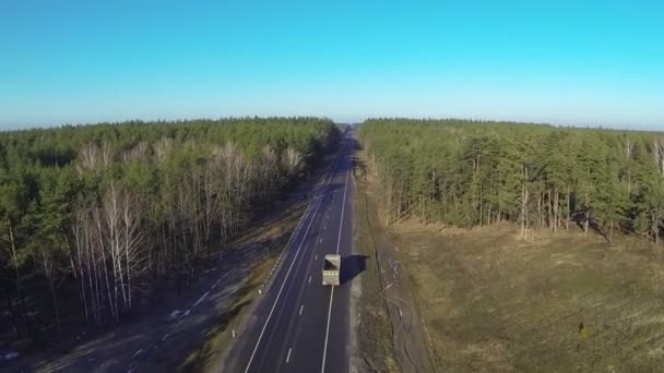 Vrachtwagen op weg in hout, zonnige dag. Luchtfoto — Stockvideo