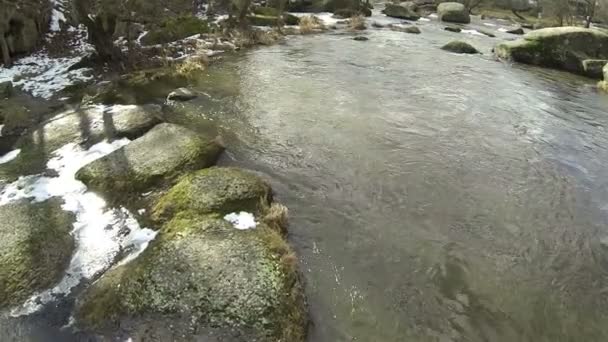 Pequeño río costó con piedras. Antena — Vídeo de stock