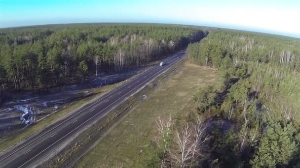 Beautiful flight over  wood and  road with cars. Aerial — Stock Video