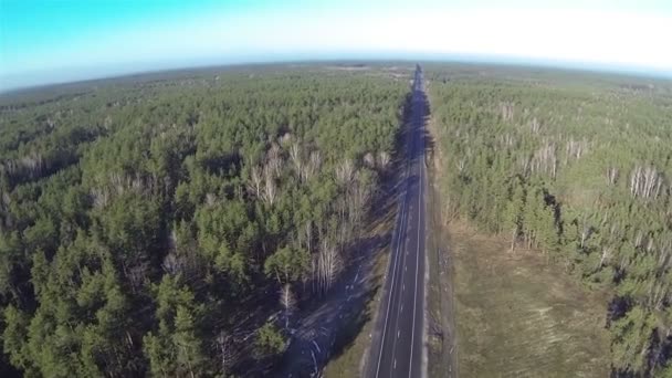 Mooie vlucht over hout en weg met de auto. Luchtfoto — Stockvideo