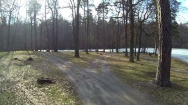 Kış ahşap donmuş göl ile yolda. Hava