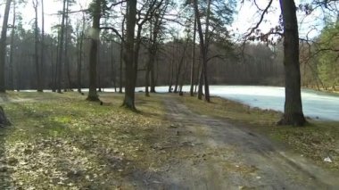 Orman yolu ve göl ile kış manzara. Hava