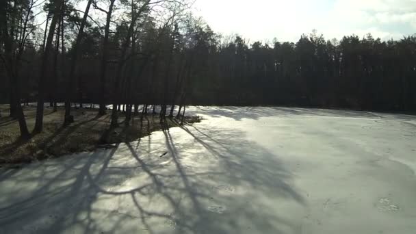 冬の凍った湖と木に飛ぶ。空中 — ストック動画