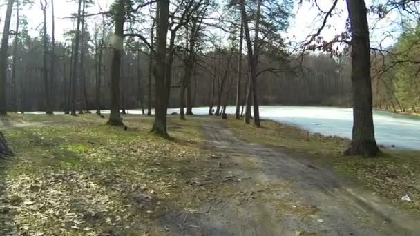 在冬季森林路与湖景观。空中 — 图库视频影像