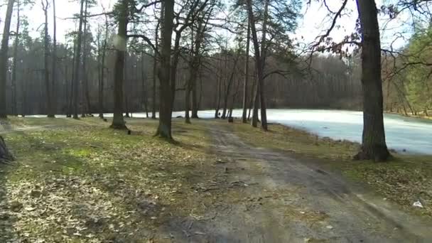 Landscape with  forest road and  lake in winter. Aerial — Stock Video