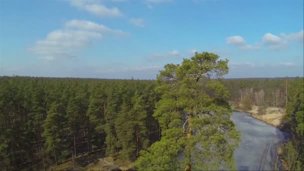 Mooie afdaling over winter bos en meer. Luchtfoto — Stockvideo