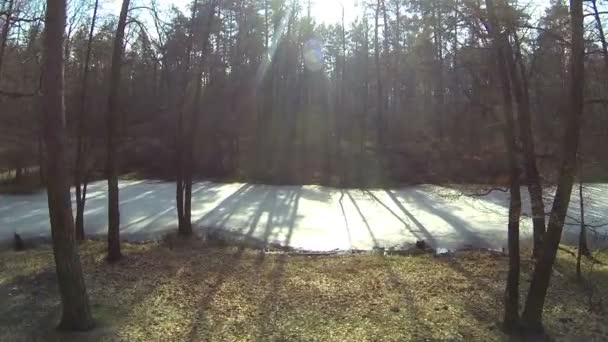 Sobre la madera y el pequeño río en invierno. Antena — Vídeos de Stock