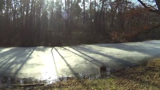 Río congelado en madera. Antena — Vídeos de Stock