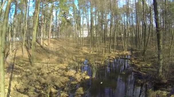 Krajobraz lasu ze strumienia w przedmieścia. Antenowe — Wideo stockowe