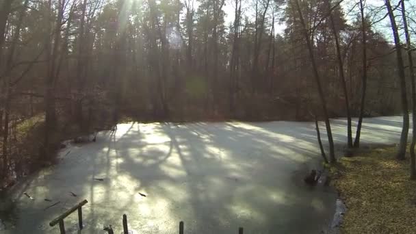 Paisaje forestal con arroyo congelado Aérea — Vídeo de stock