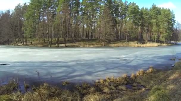Nádherný let nad wood a jezerem v zimě. Antény — Stock video