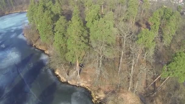 Paysage solaire avec lac et bois en hiver. Aérien — Video