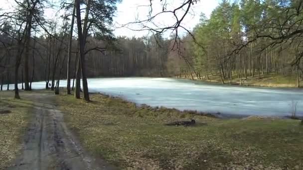 Paesaggio con lago ghiacciato e bosco in inverno. Aerea — Video Stock