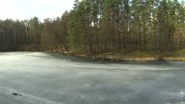 Winter wood with frozen lake. Aerial — Stock Video