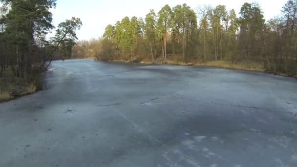 Kayu musim dingin dengan danau beku. Pemandangan udara — Stok Video