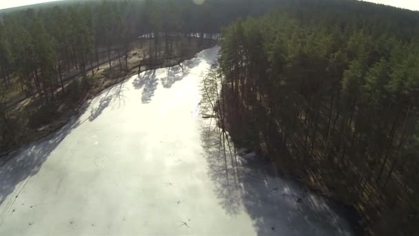 Winter wood with frozen lake. Aerial top view — Stock Video