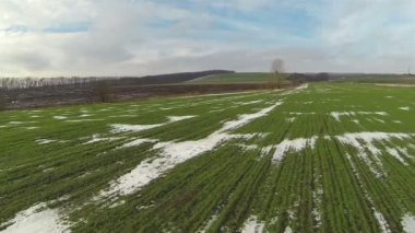 Uçuş yeşil alanın üzerinde. Hava manzara