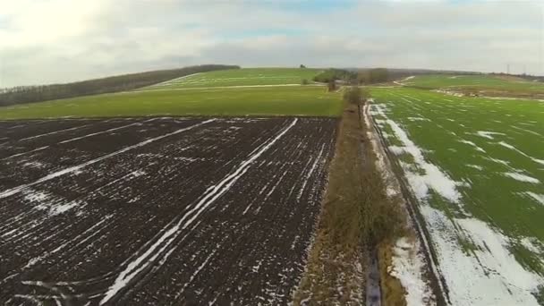 Flyg över gröna fält i vinterdag. Aerial landskap — Stockvideo