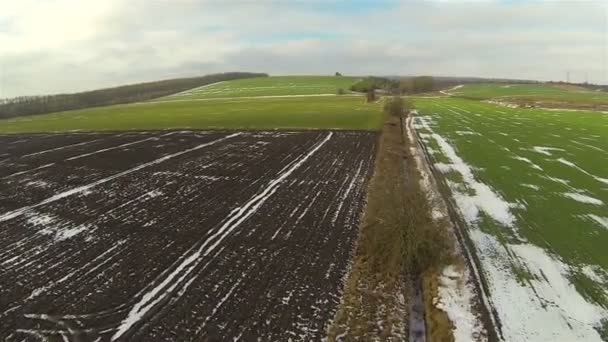 Vuelo sobre campo verde en el día de invierno. Paisaje aéreo — Vídeos de Stock