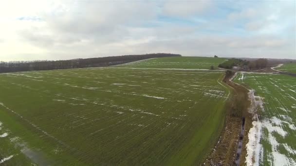 Grön och inte sådde fält på landsbygden. Aerial landskap — Stockvideo