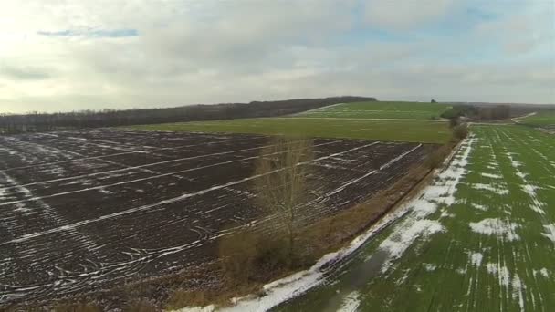 Vert et pas semé champ dans les zones rurales. Paysage aérien — Video