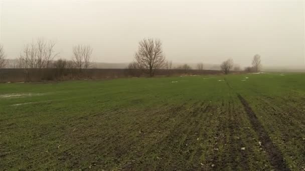 Vlucht over winter veld in mistige dag. Luchtfoto. — Stockvideo