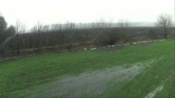 Champs agricoles dans la journée brumeuse. Aérien  . — Video