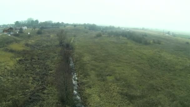 霧の日に木々が植え付いている野原。空中 . — ストック動画