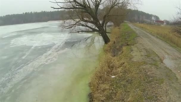 Lac et arbre gelés. Paysage rural hivernal aérien — Video