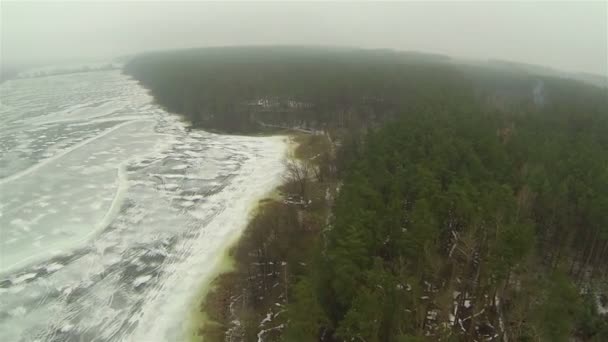 Wood, lake, winter. Beautiful flight..Aerial — Stock Video